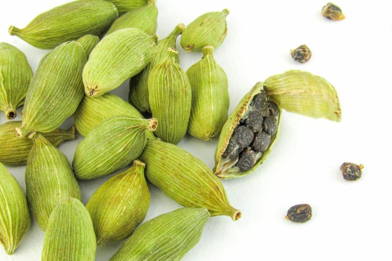 cardamomo