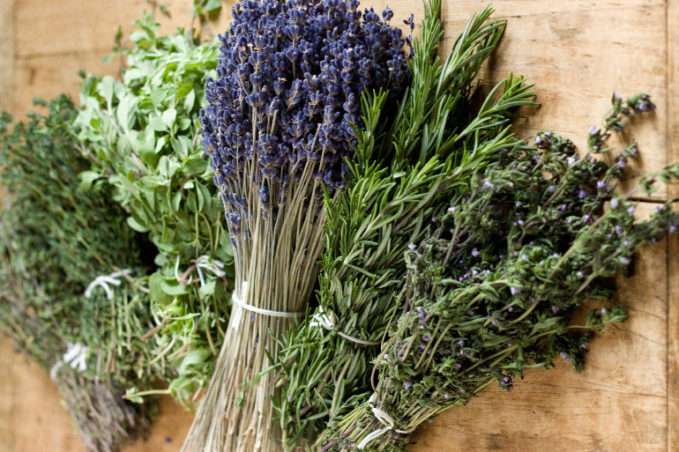 Herbes de Provence