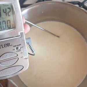 panna cotta aquecendo o creme de leite e baunilha