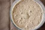 fermento natural / levain