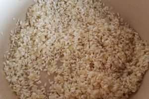 risoto de queijo preparo