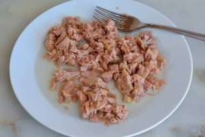 corte a posta de atum em pedacinhos