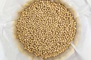 massa de torta | massa podre