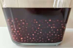 sagu de vinho