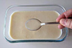 leve à geladeira por um dia