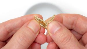 retire as sementes de cardamomo