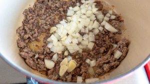 adicione a cebola e o alho